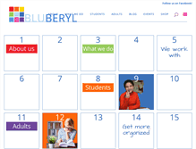 Tablet Screenshot of bluberyl.com